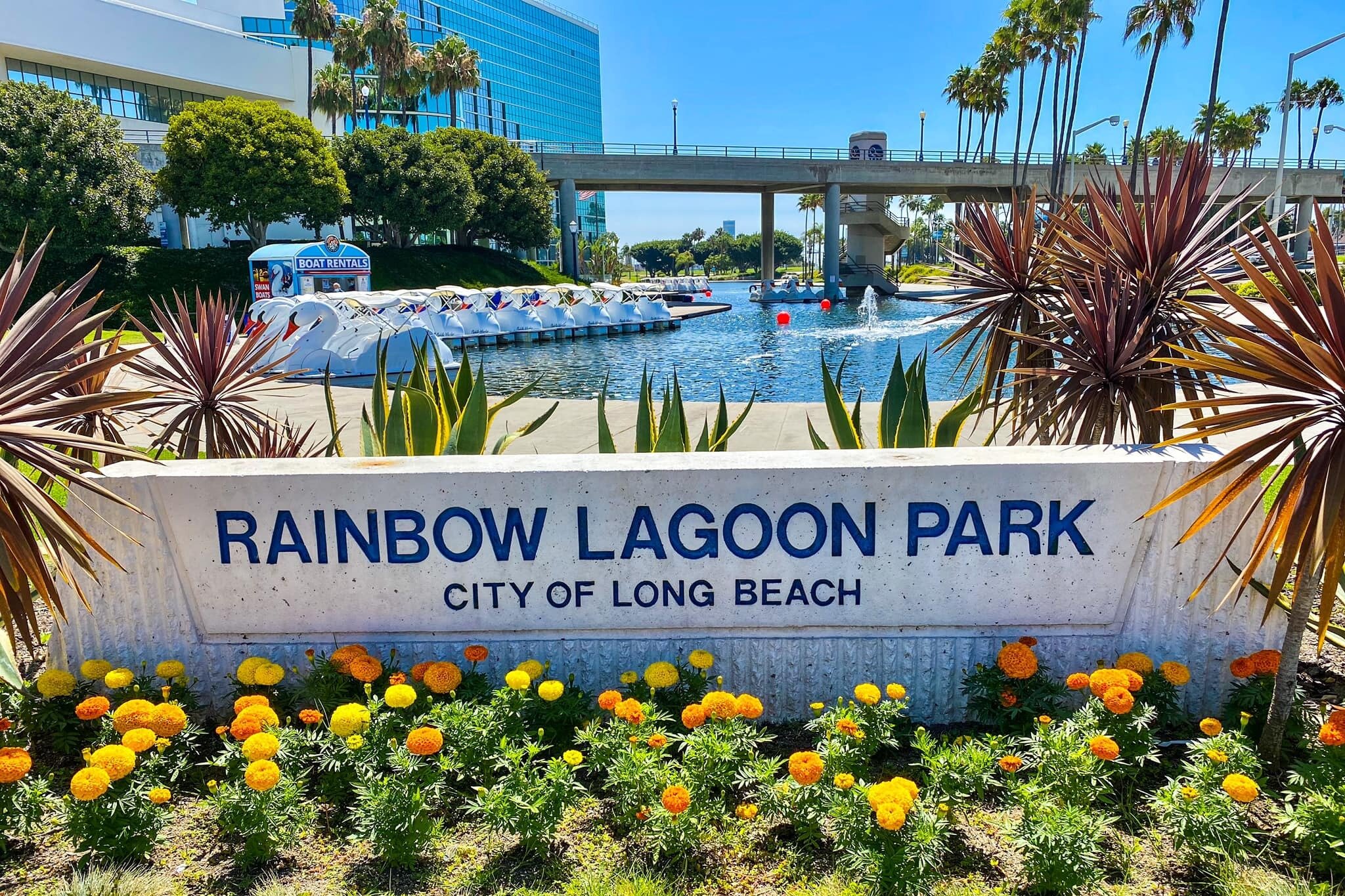 Rainbow lagoon swan boats by wheel fun rentals deals photos