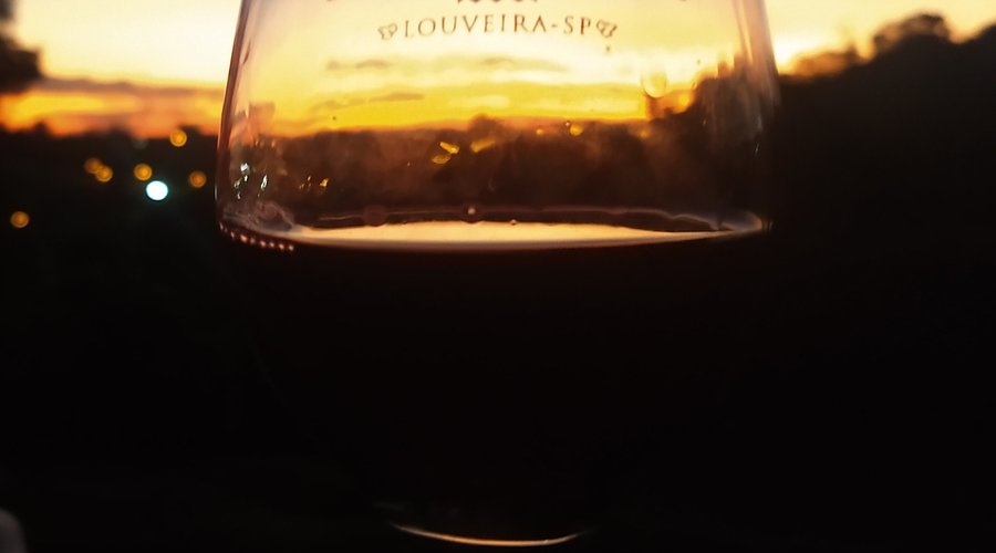 Por do Sol na Vinícola Micheletto, Louveira SP Brasil.