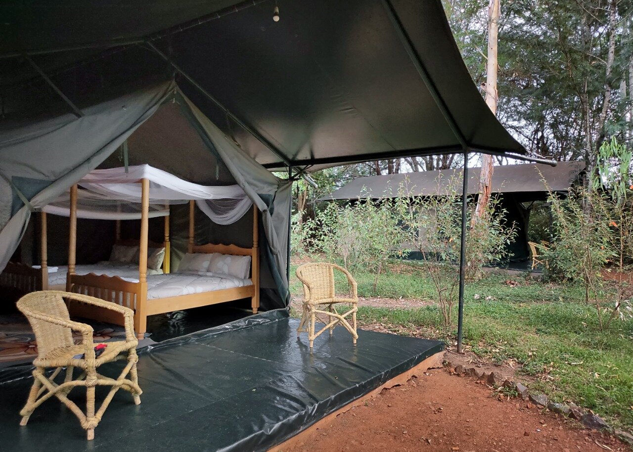 TALEK BUSH CAMP B&B (Kenya/Riserva Nazionale Di Masai Mara): Prezzi ...