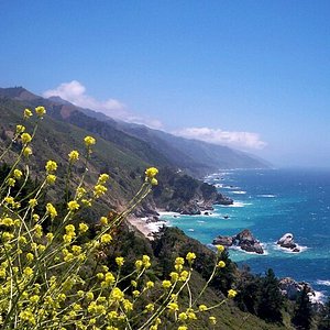 day trips from campbell ca