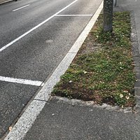 La Belgique reconnaissante
