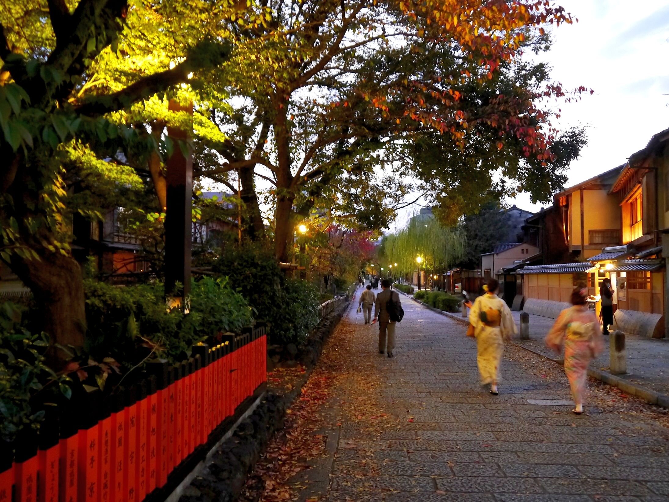 2025年 新橋通 - 出発前に知っておくべきことすべて - トリップ