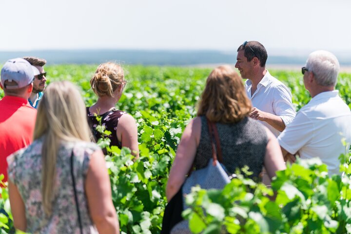 Burgundy shop wine tours