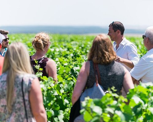 wine tour burgundy