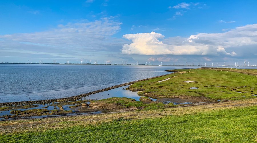 Bezoekerscentrum Dollard (Termunten) - Alles wat u moet weten VOORDAT je  gaat (met foto's) - Tripadvisor
