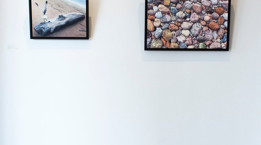 Colborne Street Gallery artist Karen Richardson