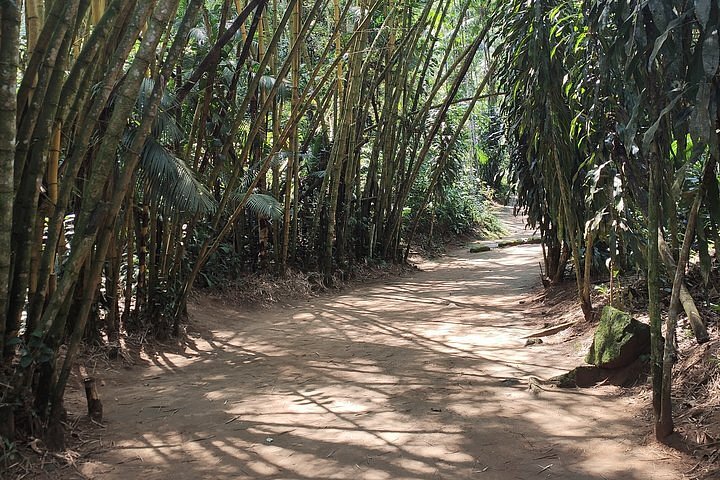 Excursão de 2 horas a pé da histórica cidade de Paraty, Brasil: experiência  oferecida por Paraty Explorer - Tripadvisor