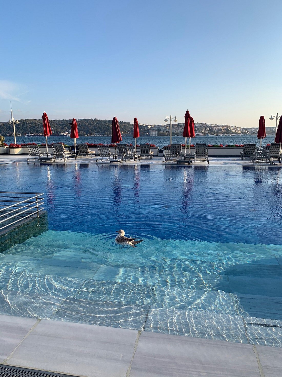 FOUR SEASONS HOTEL ISTANBUL AT THE BOSPHORUS (Стамбул) - отзывы, фото и  сравнение цен - Tripadvisor