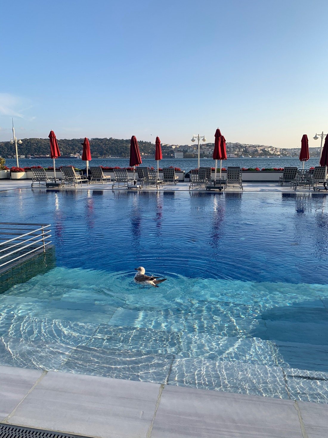 FOUR SEASONS HOTEL ISTANBUL AT THE BOSPHORUS (Стамбул) - отзывы, фото и  сравнение цен - Tripadvisor