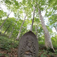 二六公園:地蔵とブナ。いくつも石彫りの地蔵があります。