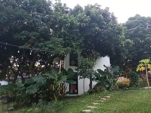 Khách du lịch