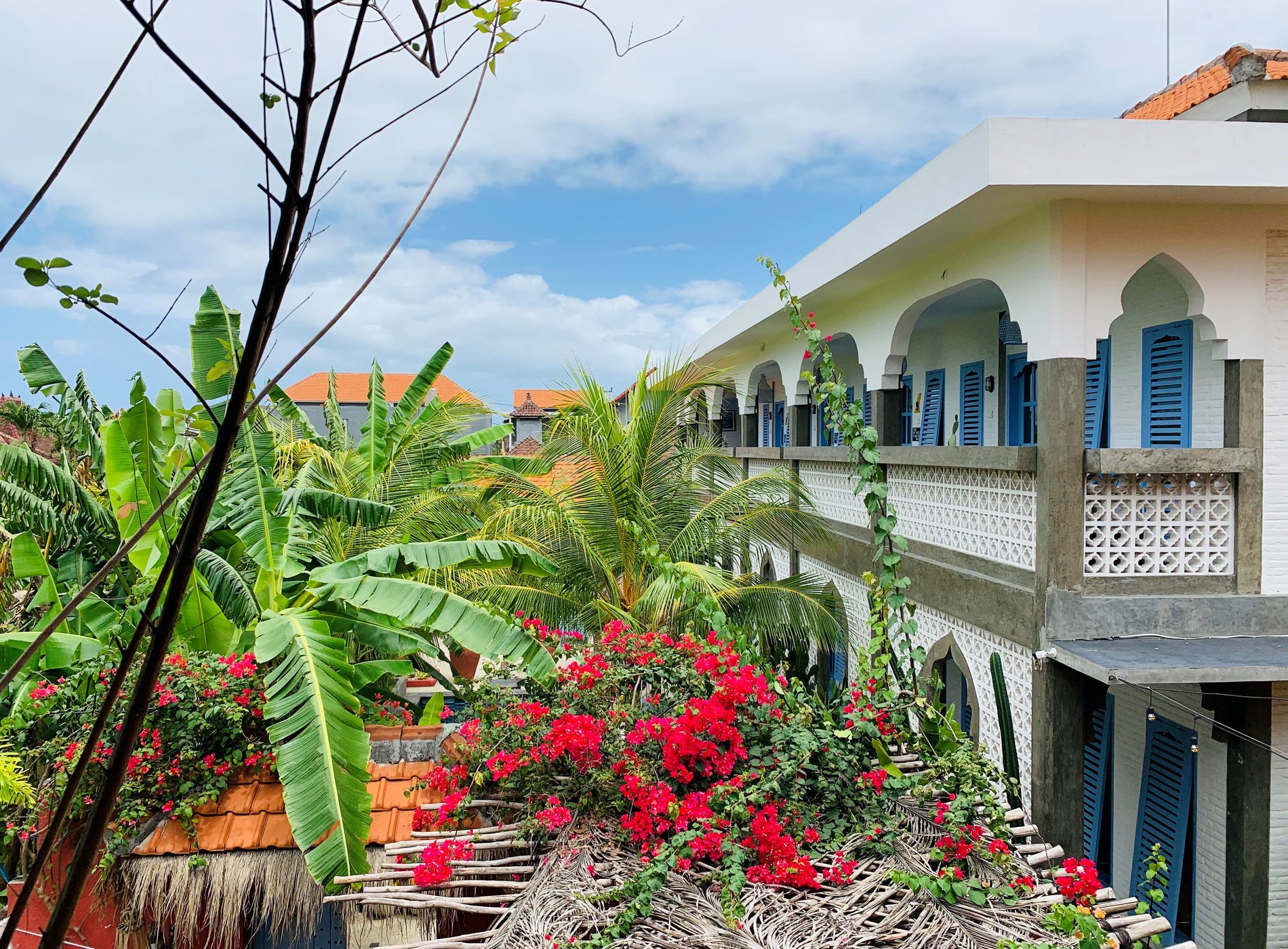 Sunflower Stay And Surf image
