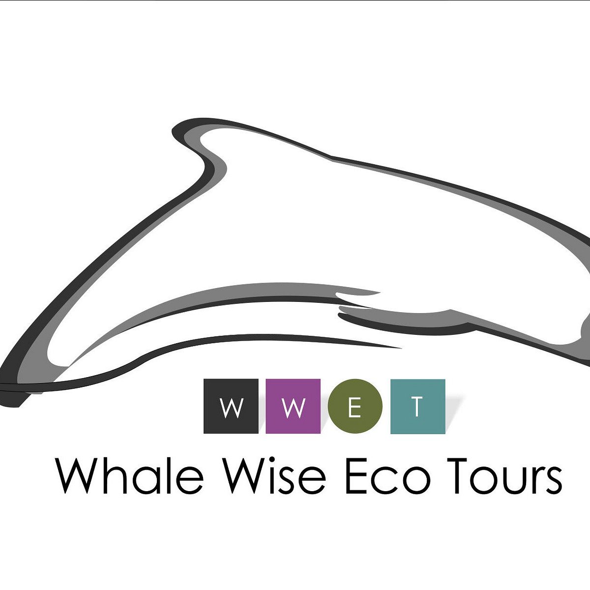 whale wise eco tours rezensionen