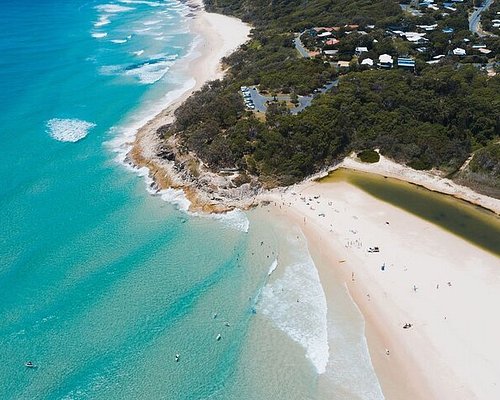 easy day trips from brisbane