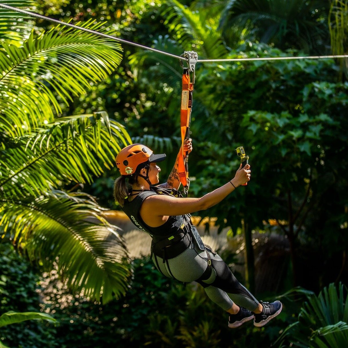 Jungle Zipline Maui 2022 Qué Saber Antes De Ir Lo Más Comentado Por