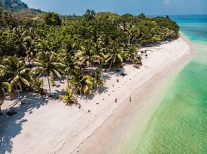 Munjoh Ocean Resort in Havelock Island, image may contain: Sea, Nature, Outdoors, Shoreline
