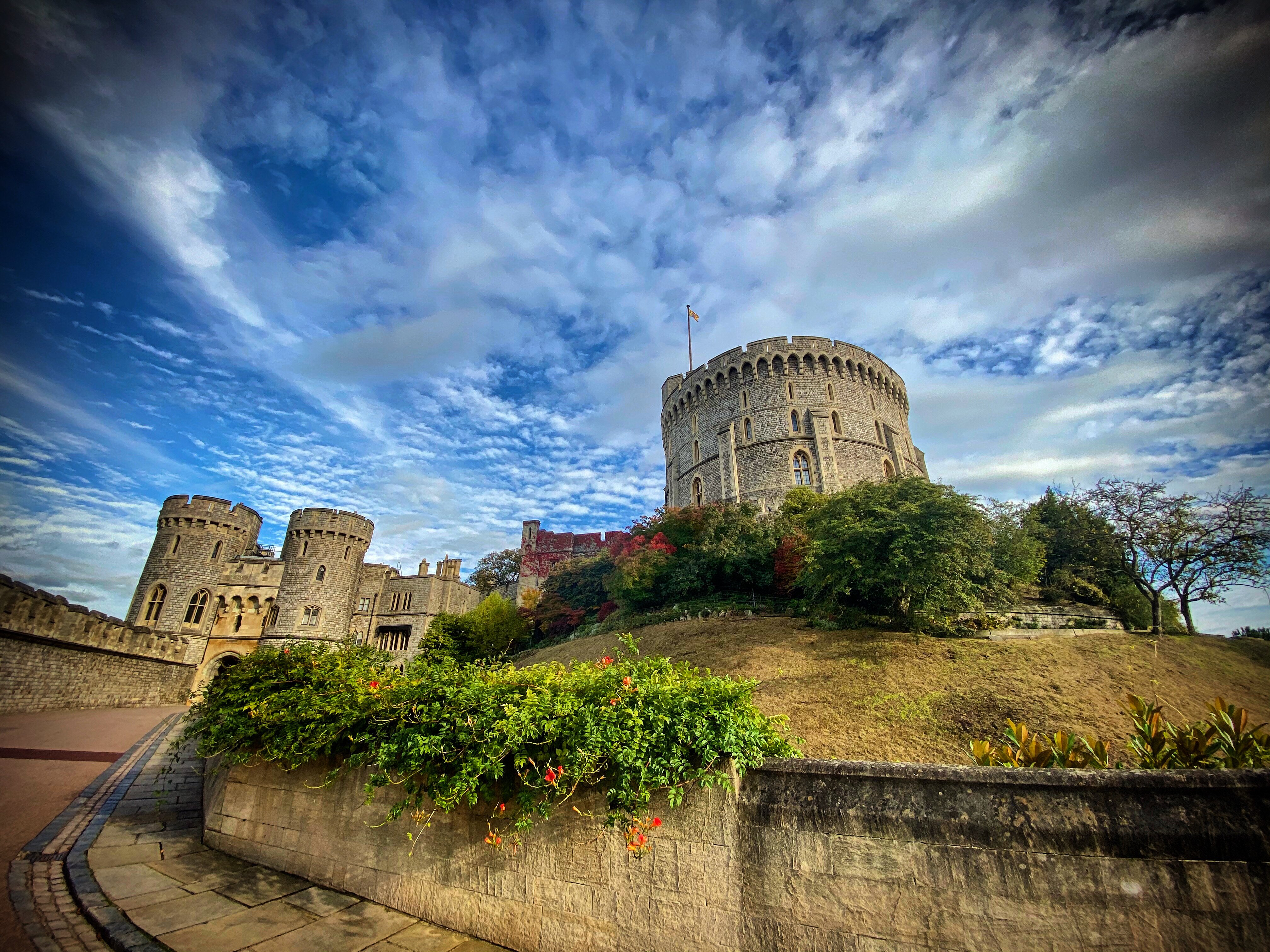 Windsor tourist best sale