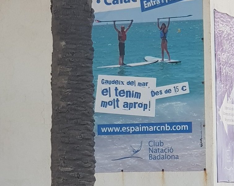 Clases de Paddle Surf de 1,5h en Barcelona y Badalona