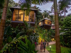 Daintree Ecolodge in Daintree, image may contain: Hotel, Resort, Rainforest, Person