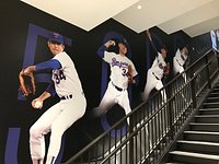 One Guy's Review of Globe Life Field - Un/Necessary Sports Drivel - Twins  Daily