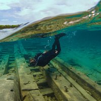 Get up close and personal with the wrecks of Thunder Bay by snorkeling or scuba diving.