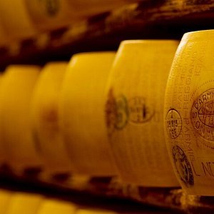 Cheese storage with parmesan cheese (cheese factory), Parma, Emilia  Romagna, Italy, Stock Photo, Picture And Rights Managed Image. Pic.  IBR-708619