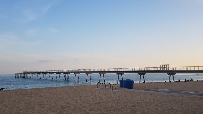 Imagen 9 de Pont del Petroli