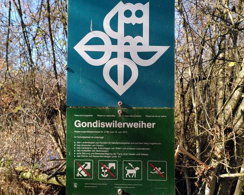 THE BEST Things to Do in Gondiswil (2024) - Must-See Attractions