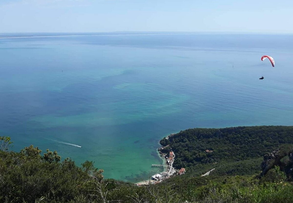 Badger Tours Sesimbra Atualizado 2023 O Que Saber Antes De Ir Sobre O Que As Pessoas Estão 