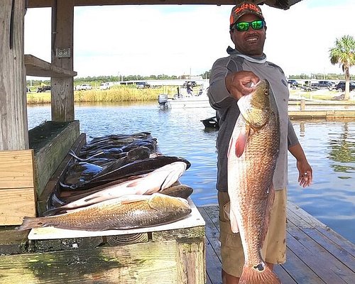 THE 5 BEST Louisiana Fishing Charters & Tours (Updated 2024)