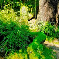 Il Giardino Degli Animali