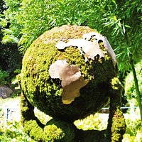 Il Giardino Degli Animali