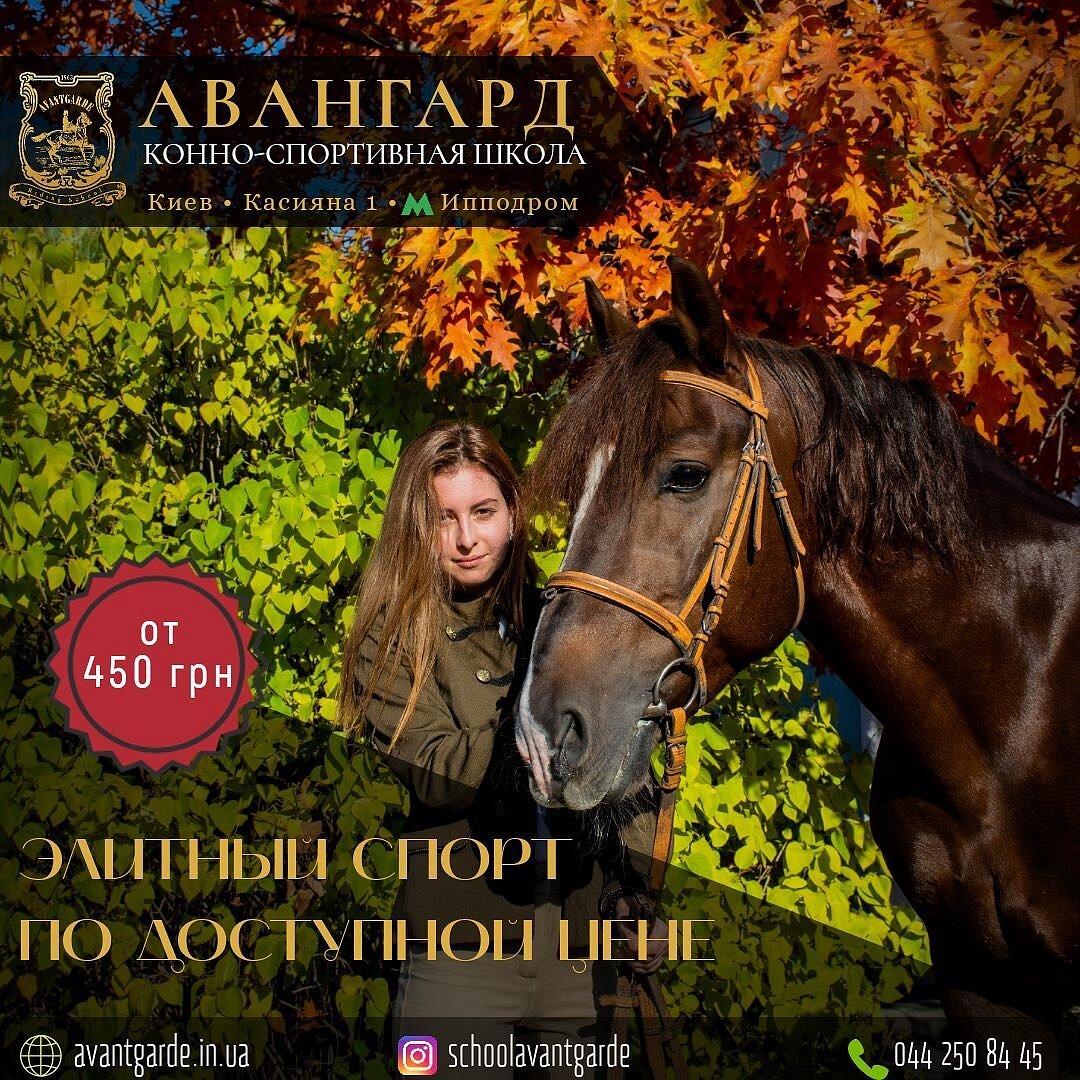 Конно-Спортивная Школа Авангард, Киев: лучшие советы перед посещением -  Tripadvisor