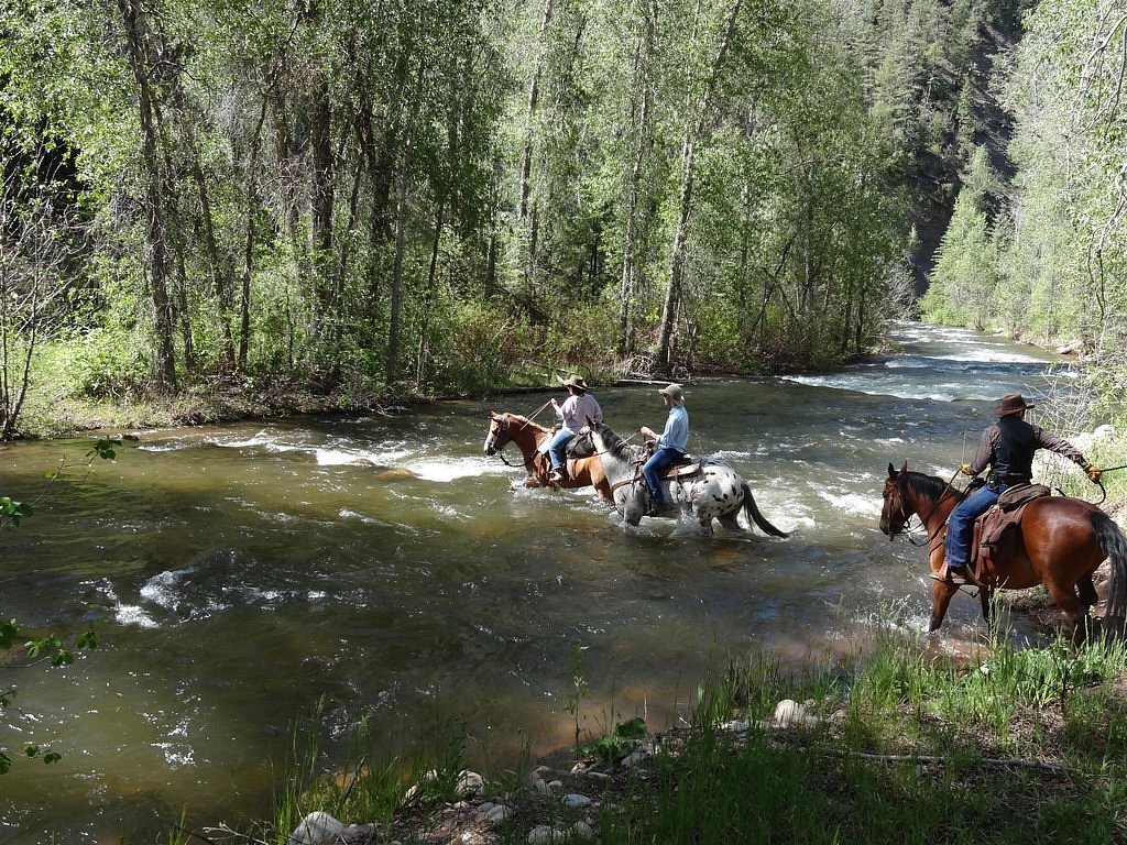 Fly-Fishing on the Florida River - Picture of Colorado Trails Ranch,  Durango - Tripadvisor