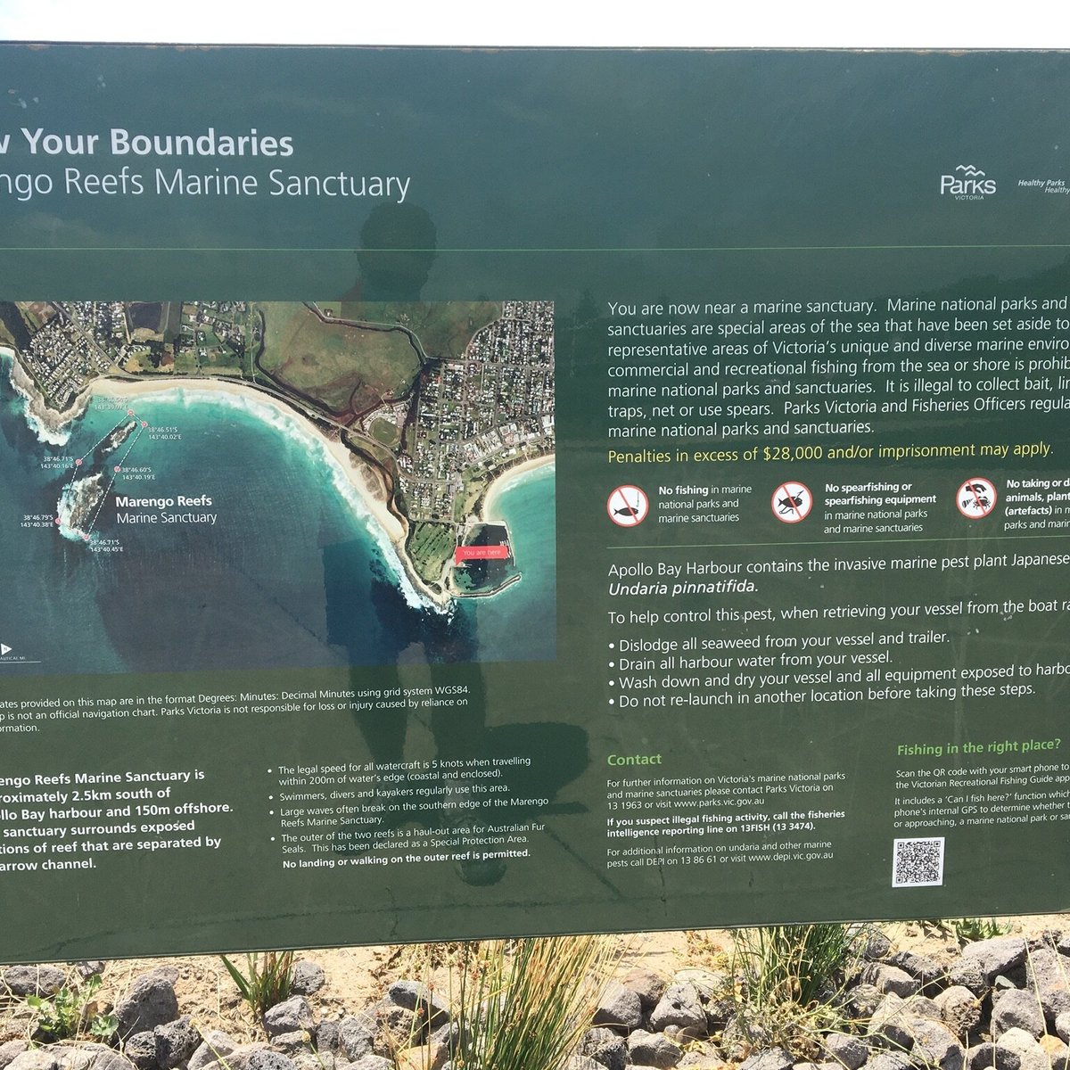 APOLLO BAY HARBOUR All You Need to Know BEFORE You Go