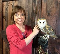 Hawk Manor Falconry (Lillington) - All You Need to Know BEFORE You Go