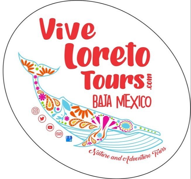 viva loreto tours