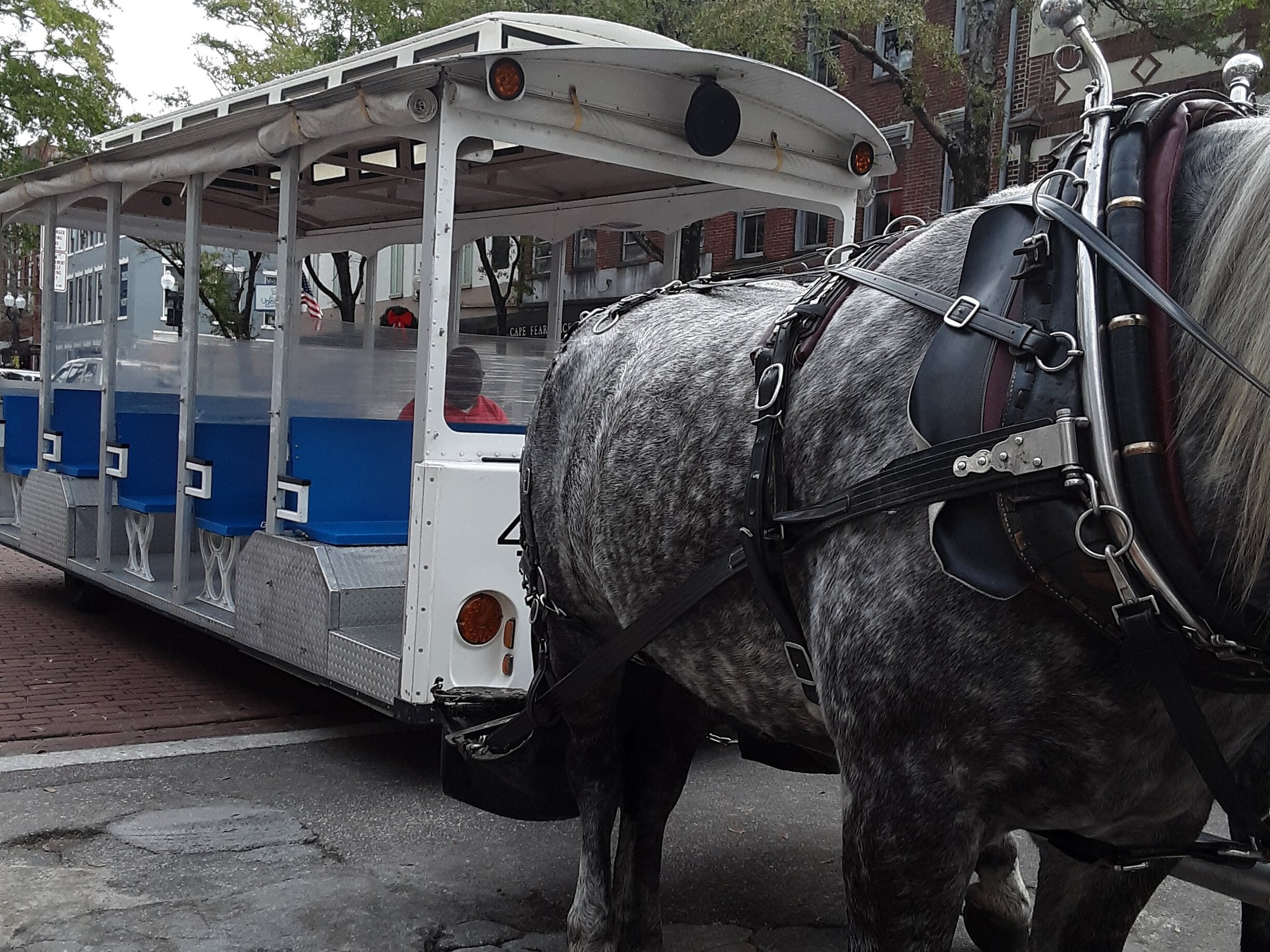 horse tour wilmington nc