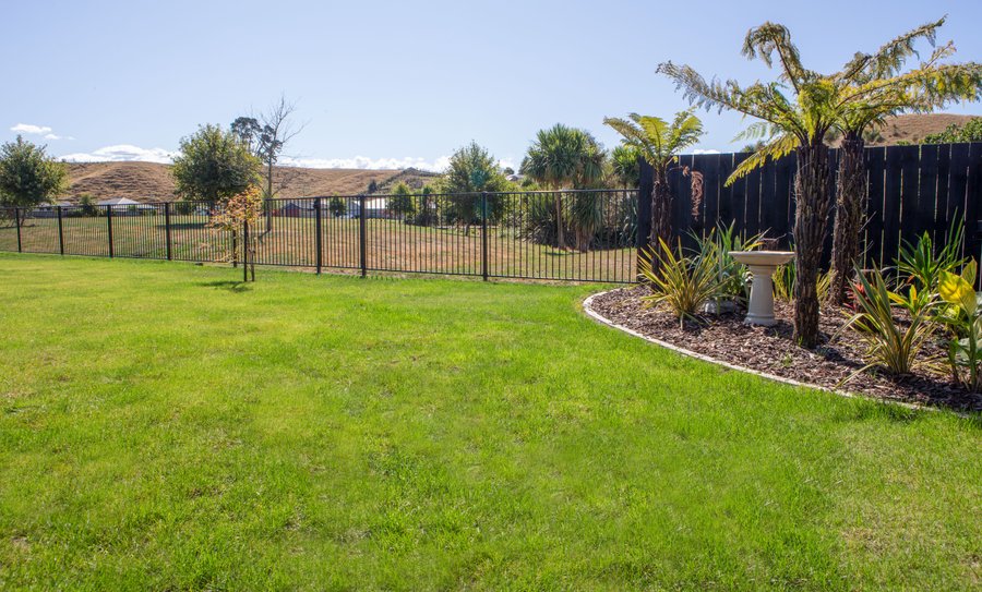 Grounds
