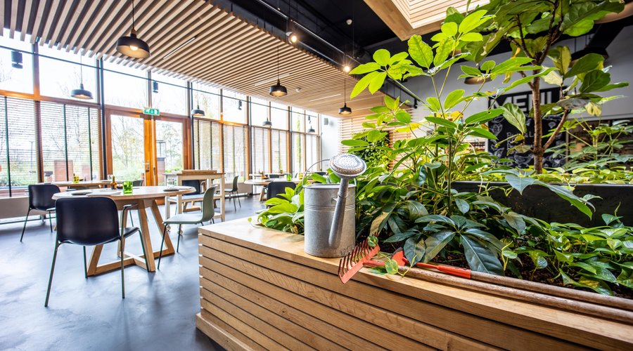 Restaurant Wannee