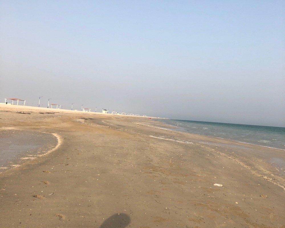 THE BEST Things to Do in Al Daayen - 2024 (with Photos) - Tripadvisor