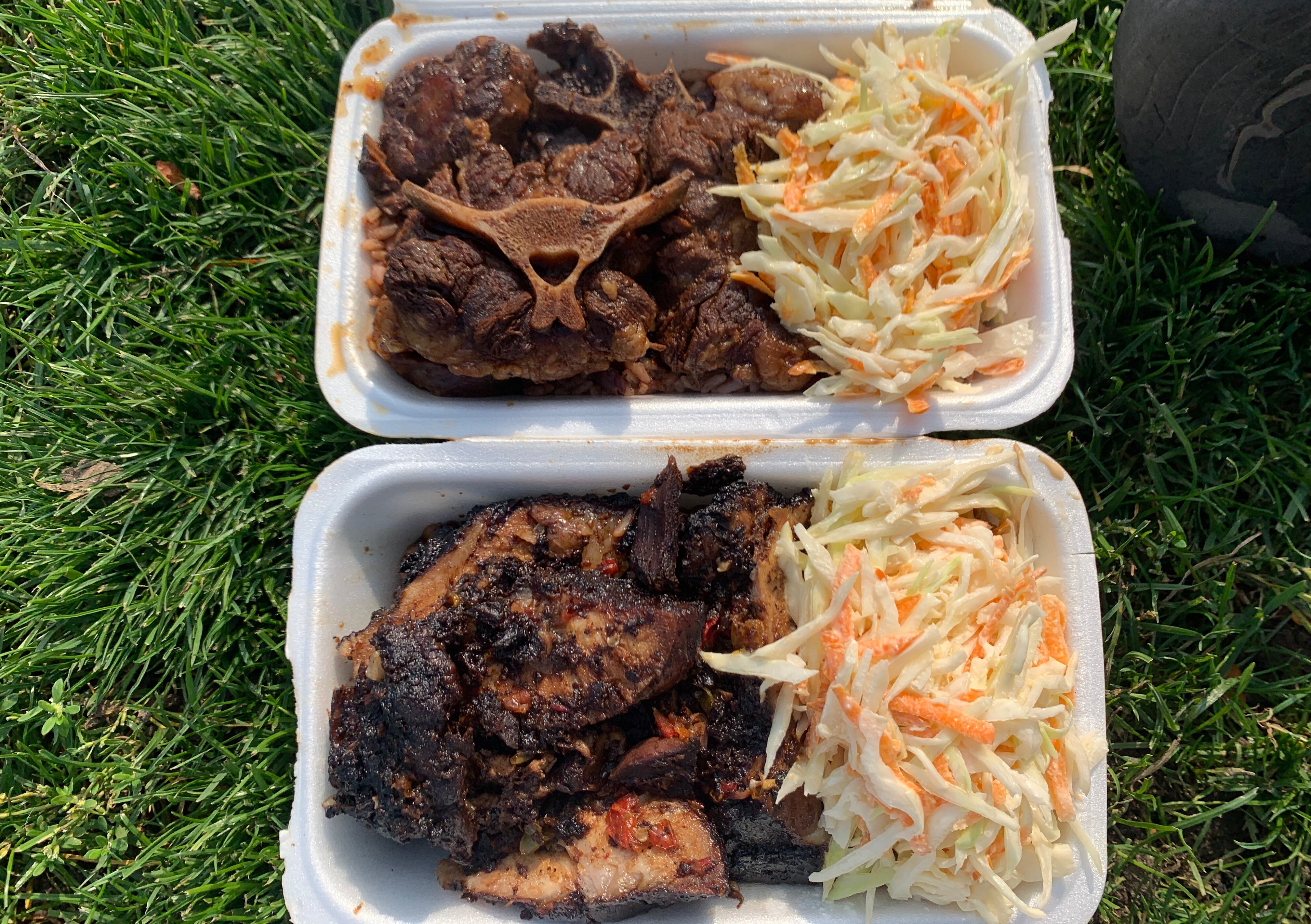 THE BEST Jamaican Food In Toronto Updated 2024 Tripadvisor   Picnic In The Park Oxtail 