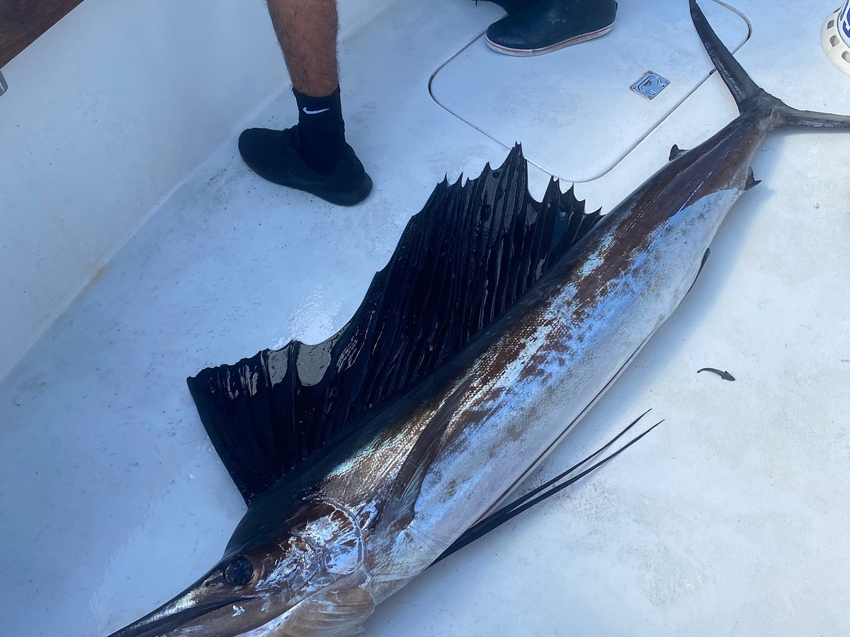 Kite Fishing - Double Threat Charters
