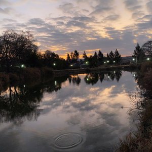 Sunset and evening lights