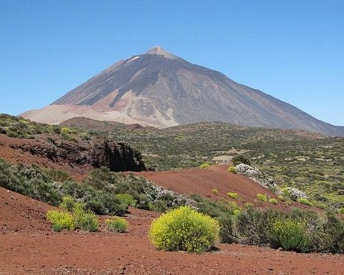 tours in tenerife canary islands