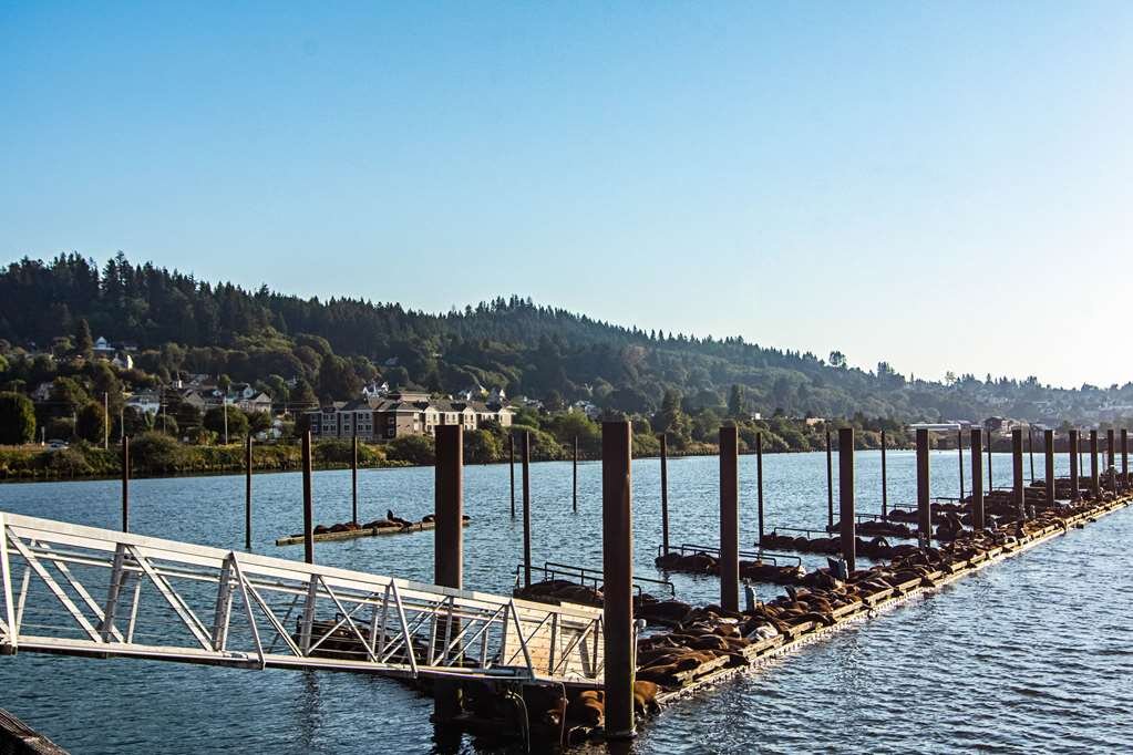 Hotel photo 54 of Comfort Suites Columbia River.