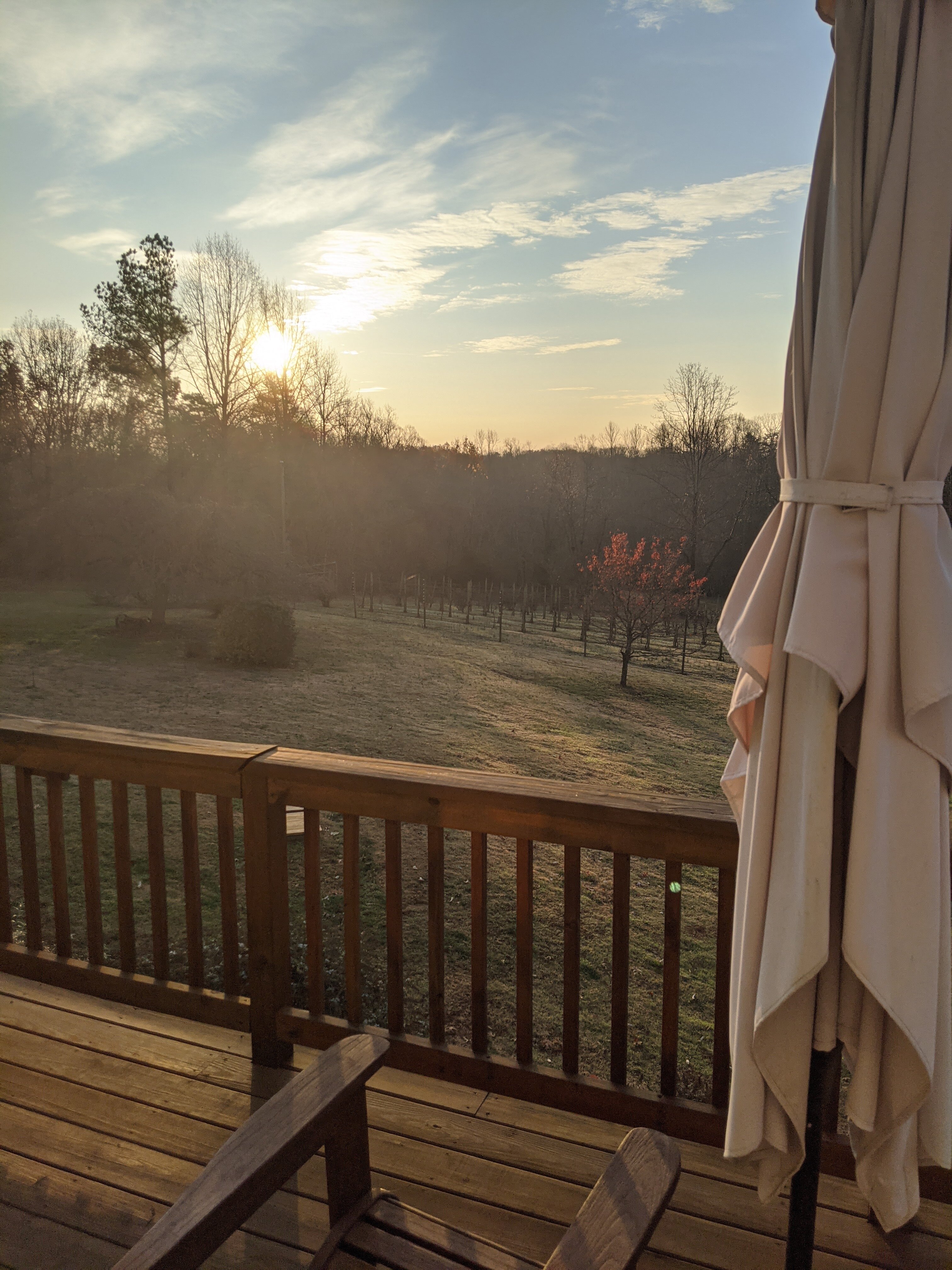 ARCADY VINEYARD BED & BREAKFAST (Charlottesville) - B&B Reviews, Photos ...