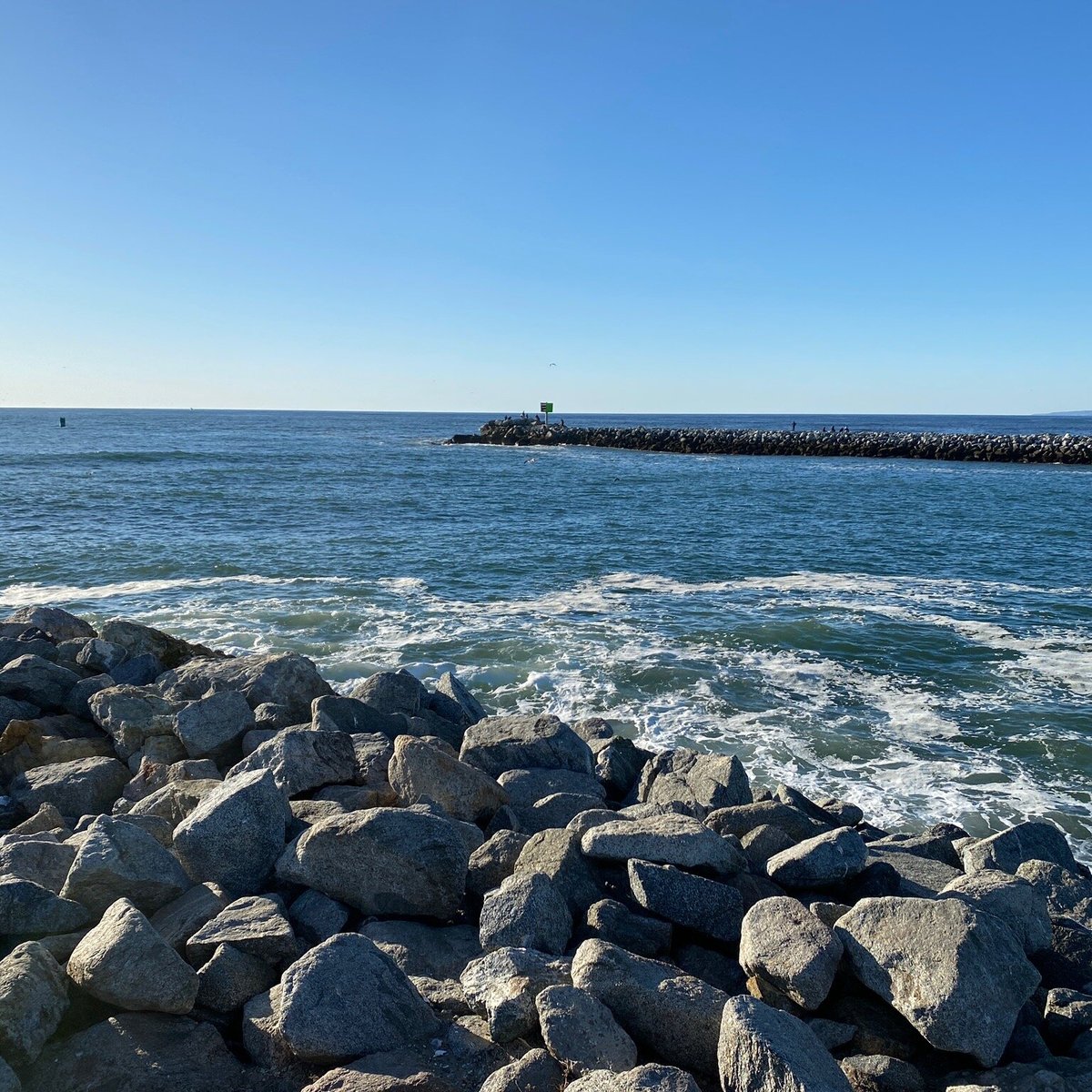 Moss Landing Harbor (แคลิฟอร์เนีย) - รีวิว - Tripadvisor