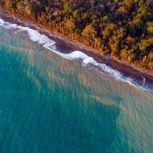 Drake Bay - Agujas River: 5 fotos - Puntarenas, Costa Rica