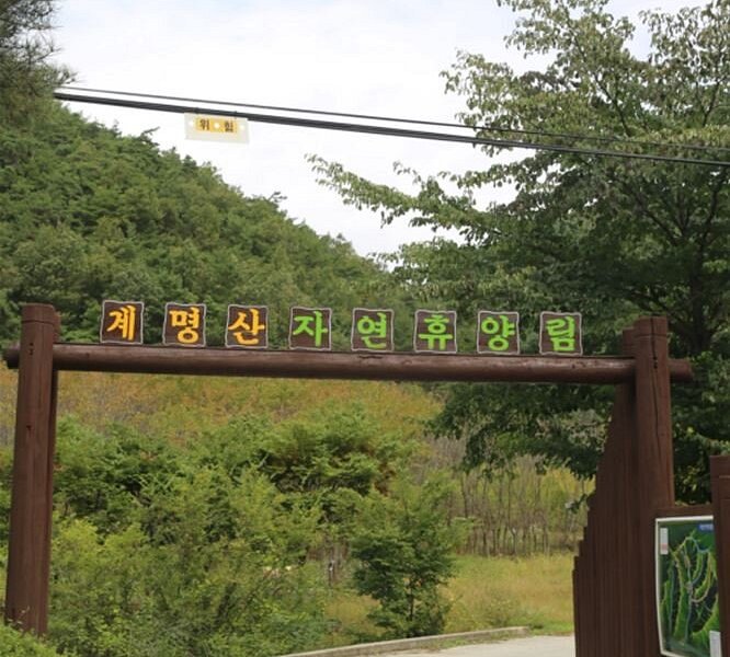 Gyemyungsan Nature Recreation Forest image